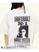 韓國Romantic Crown - [HP X RMTC] HARRY POTTER T-SHIRTS_LIGHT GREY